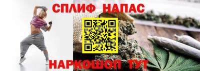 стаф Аргун