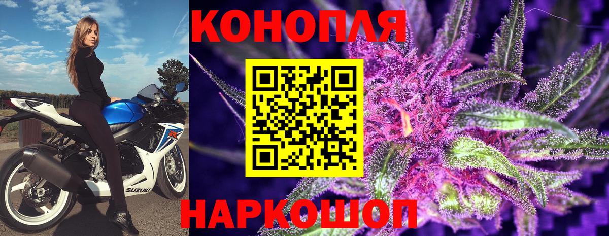 Конопля планчик Архангельск